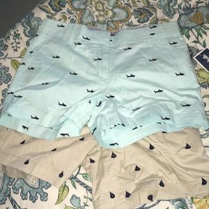 Summery Tan & Blue Shorts!